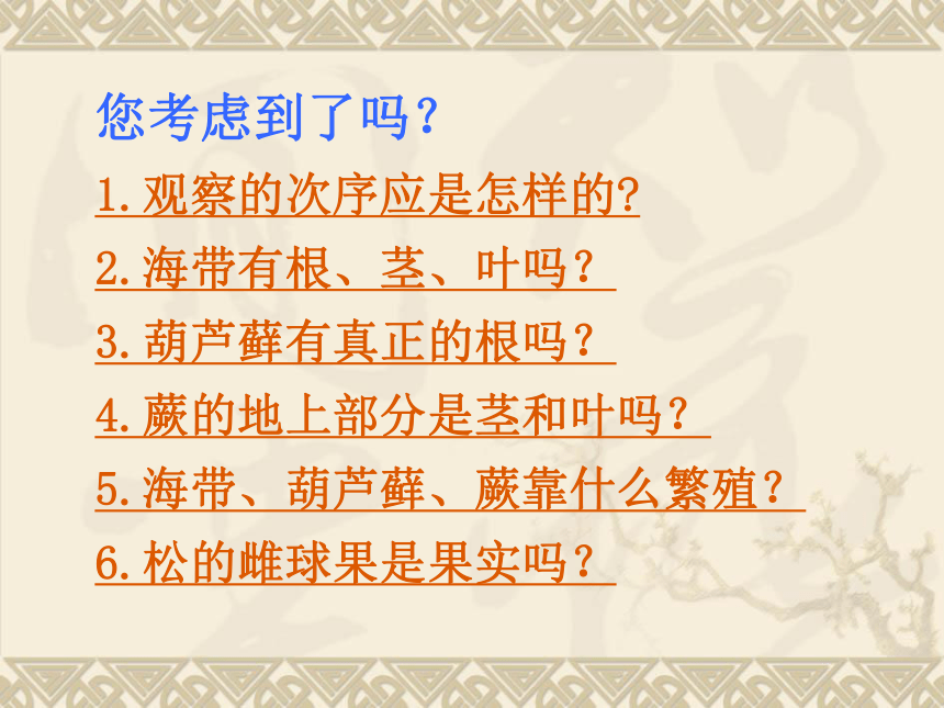 北师大版 八下 第七单元 第22章  第3节 植物的主要类群 课件（28张PPT）