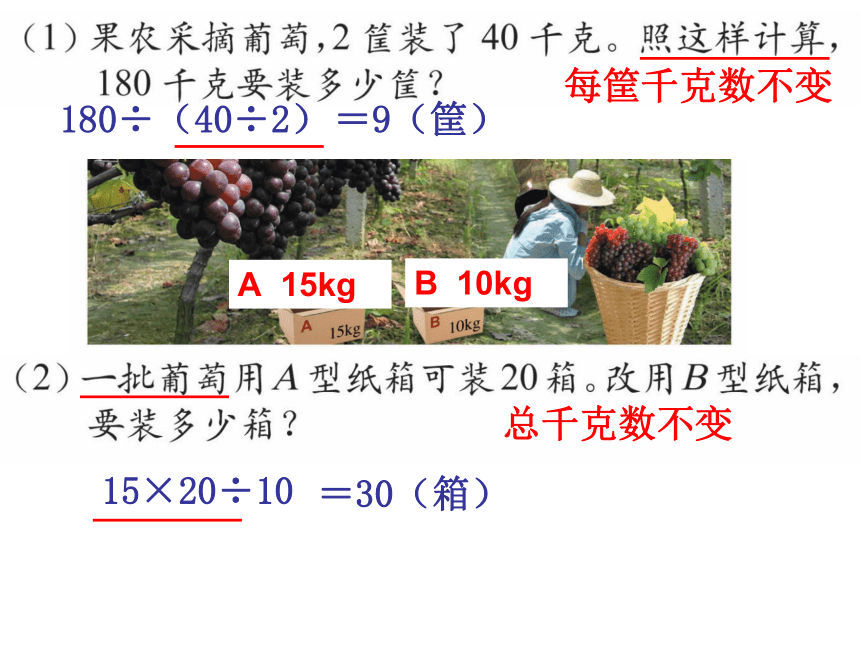 整理与应用课件三年级下册数学浙教版(共16张PPT)