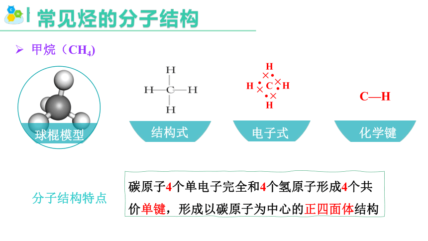 7.2.2   烃与有机高分子材料-2023-2024学年高一化学（人教版2019必修第二册）（共34张ppt）