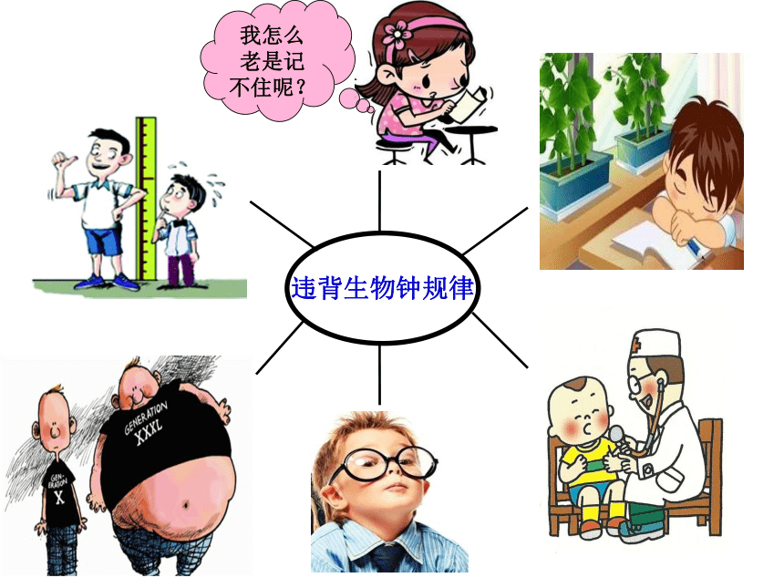 辽大版四上心理健康 7.神秘的生物钟 课件（13张PPT）