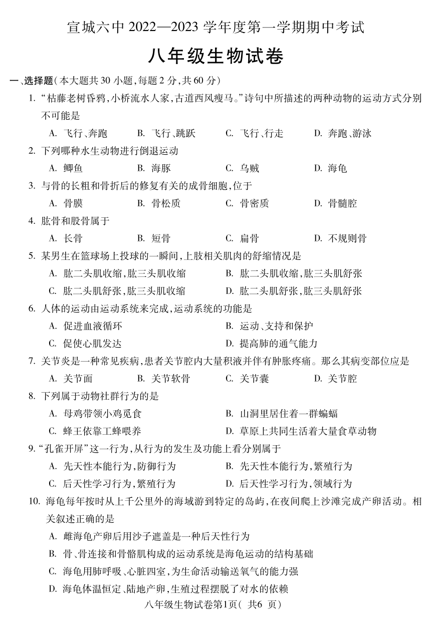 安徽省宣城市第六中学2022-2023学年八年级上学期生物期中试卷（PDF版含答案）