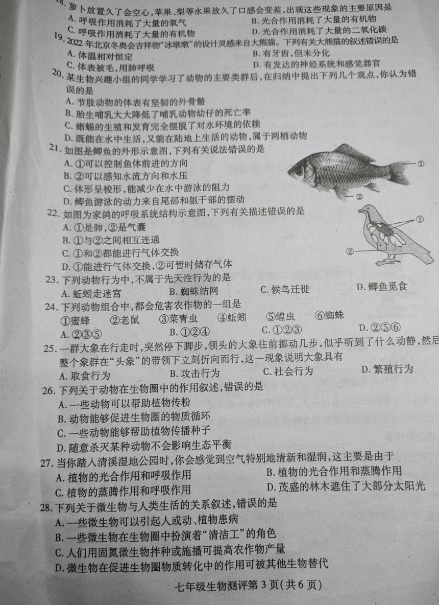 四川省内江市2022-2023学年第一学期七年级生物期末试题（图片版，无答案）