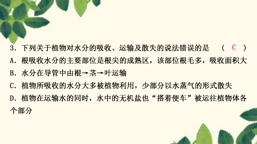 人教版生物七年级上册 期末复习专题(四)　第三单元 第三～六章 复习课件(共22张PPT)