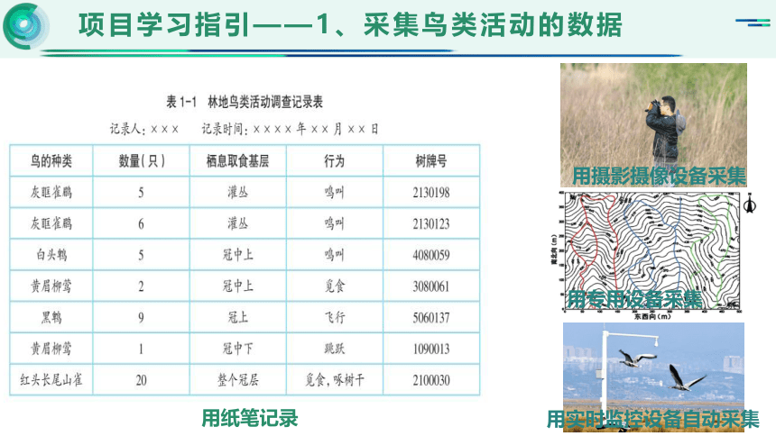 第一单元项目一探秘鸟类研究——认识数据、信息与知识　课件　2022—2023学年沪科版（2019）高中信息技术必修1（15张PPT）