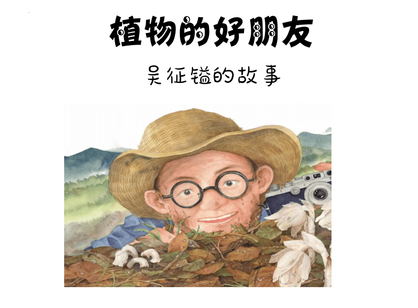 吴征镒的名人故事（课件）小学拓展通用版(共15张PPT)