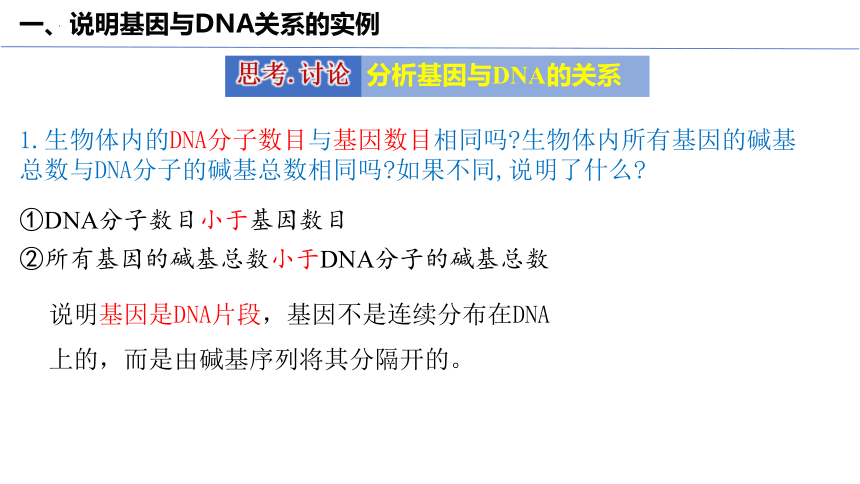 3.4基因通常是具有遗传效应的DNA片段(共31张PPT)课件