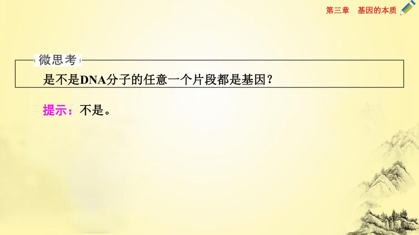 【课件版同步学案】人教版（2019）必修二 3.4 基因通常是有遗传效应的DNA片段(共33张PPT)