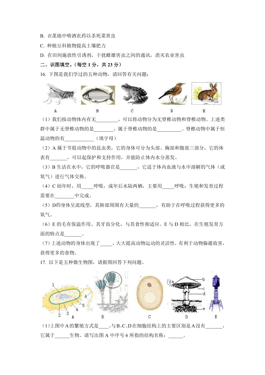 湖北襄阳谷城县石花镇第三中学2022-2023学年八年级上学期生物期中考试题（含解析）