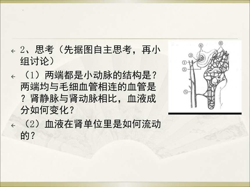 第四章人体代谢废物的排出复习课件(共27张PPT)2022--2023学年济南版生物七年级下册