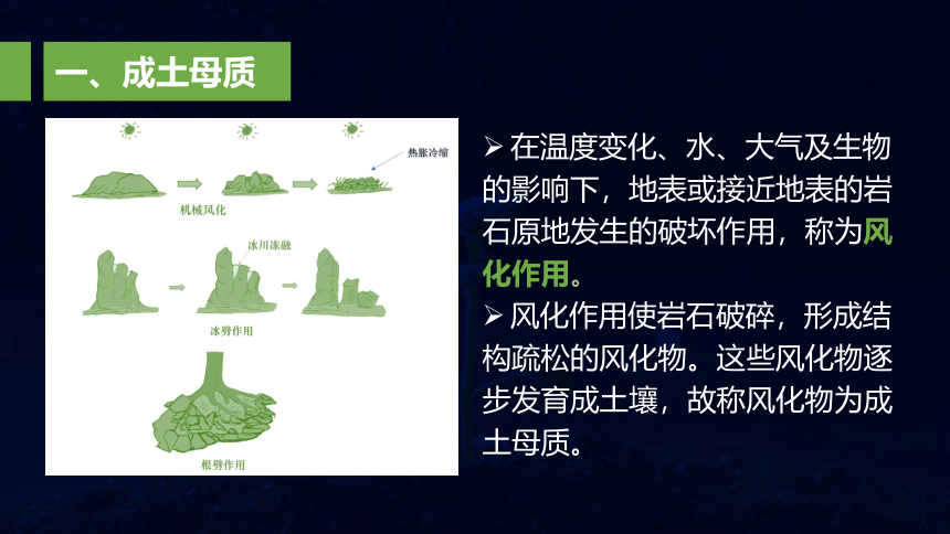 5.2  土壤的形成 课件（51页PPT）