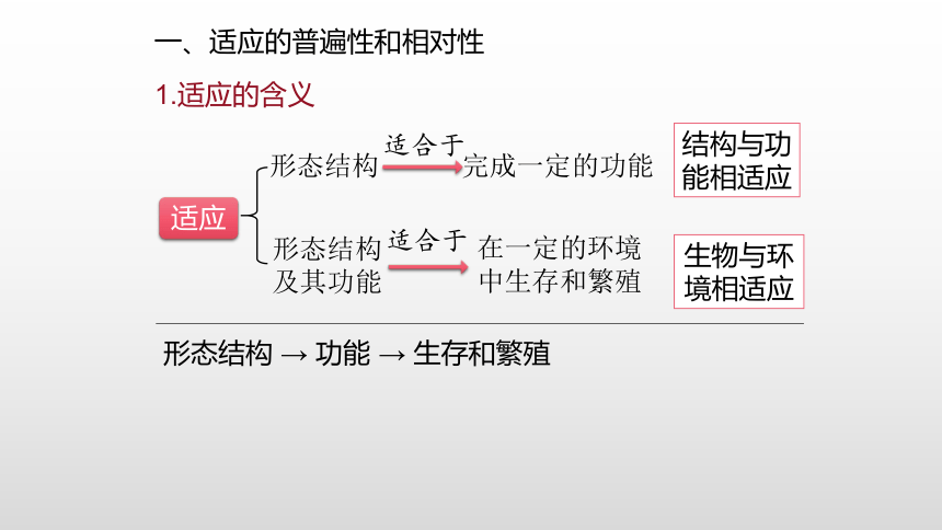 高中生物人教版（2019）必修2-6.2 自然选择与适应的形成 课件（共45张ppt）