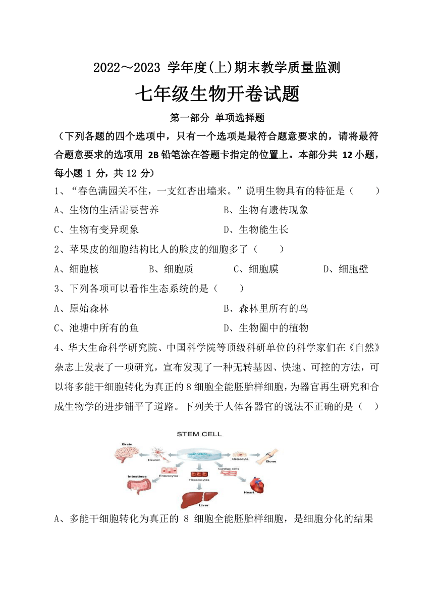 辽宁省丹东市东港市2022-2023学年七年级上学期期末教学质量监测生物试题（无答案）