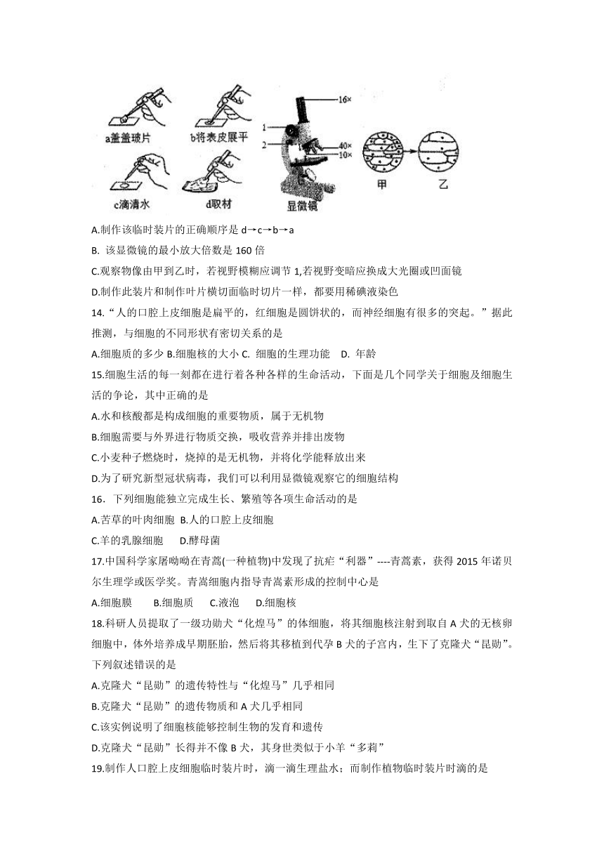 山东省淄博市临淄区（五四制）2021-2022学年上学期六年级期末生物试题（word版无答案）