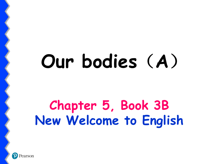新思维英语三年级下册Chapter5 Our bodies（A）课件(共16张PPT)