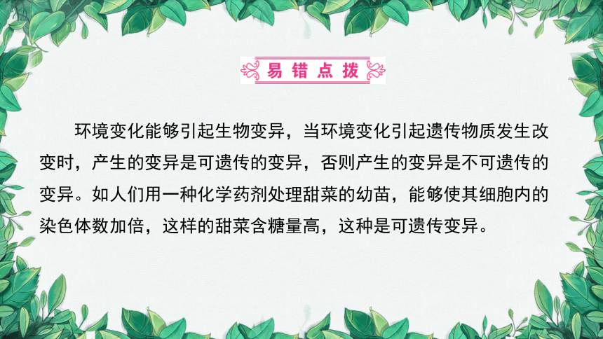 2023年中考生物复习 课题五 遗传变异与遗传病课件(共31张PPT)