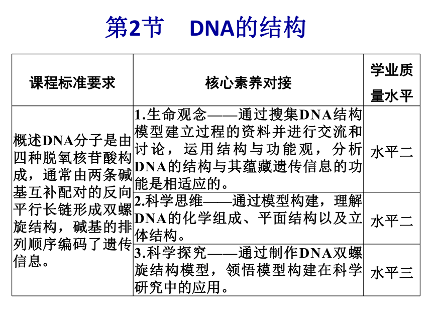 3.2DNA的结构课件(共37张PPT)-人教版必修2