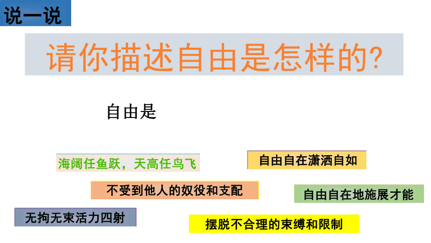 7.1自由平等的真谛 课件（共22张PPT）