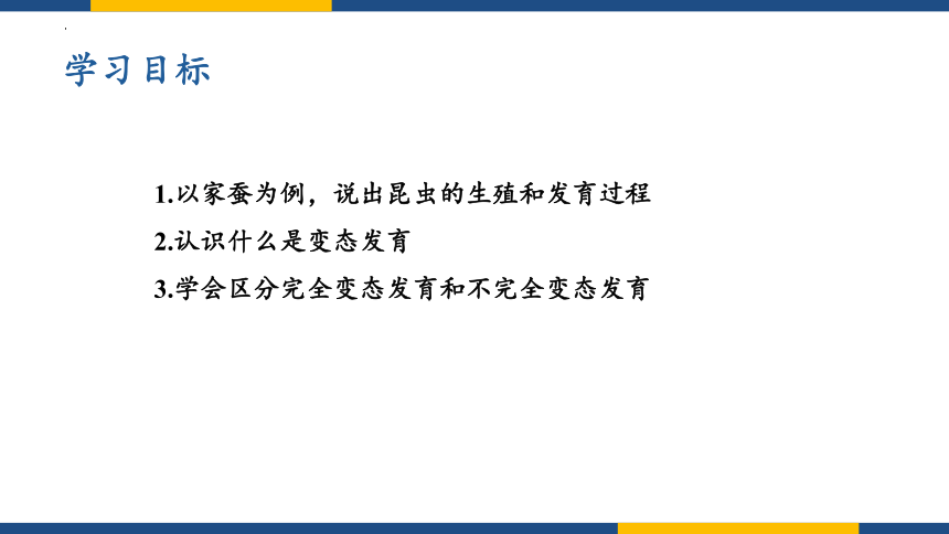 7.1.2昆虫的生殖和发育课件(共22张PPT) 人教版生物八年级下册