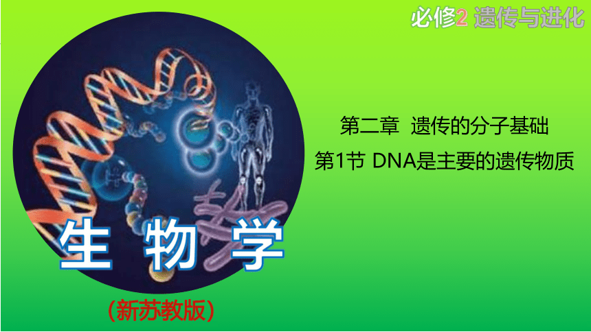 2.1 DNA是主要的遗传物质课件（41张）高一生物（苏教版2019必修2）