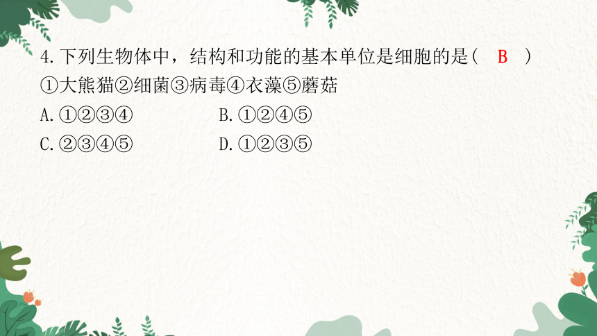 2023年广东省初中学业水平考试仿真试卷(二)习题课件(共41张PPT)