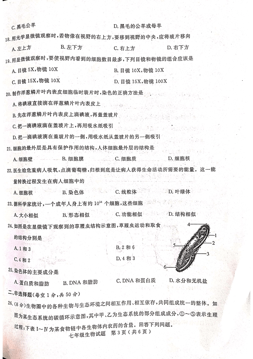 山东省聊城市冠县2022-2023学年七年级上学期期中考试生物试卷（扫描版含答案）