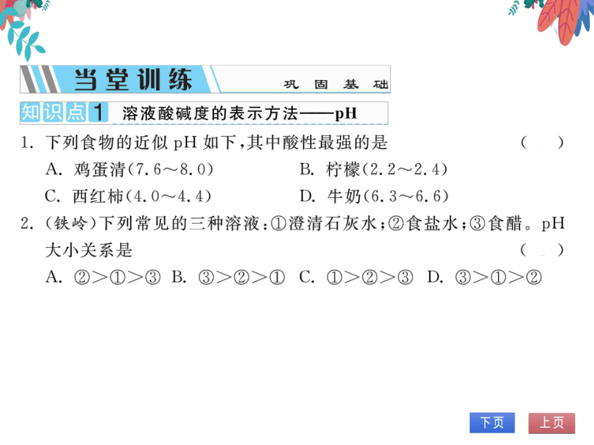 【人教版】化学九年级下册-第十单元 课题2 第2课时 溶液酸碱度的表示法——pH (习题课件)