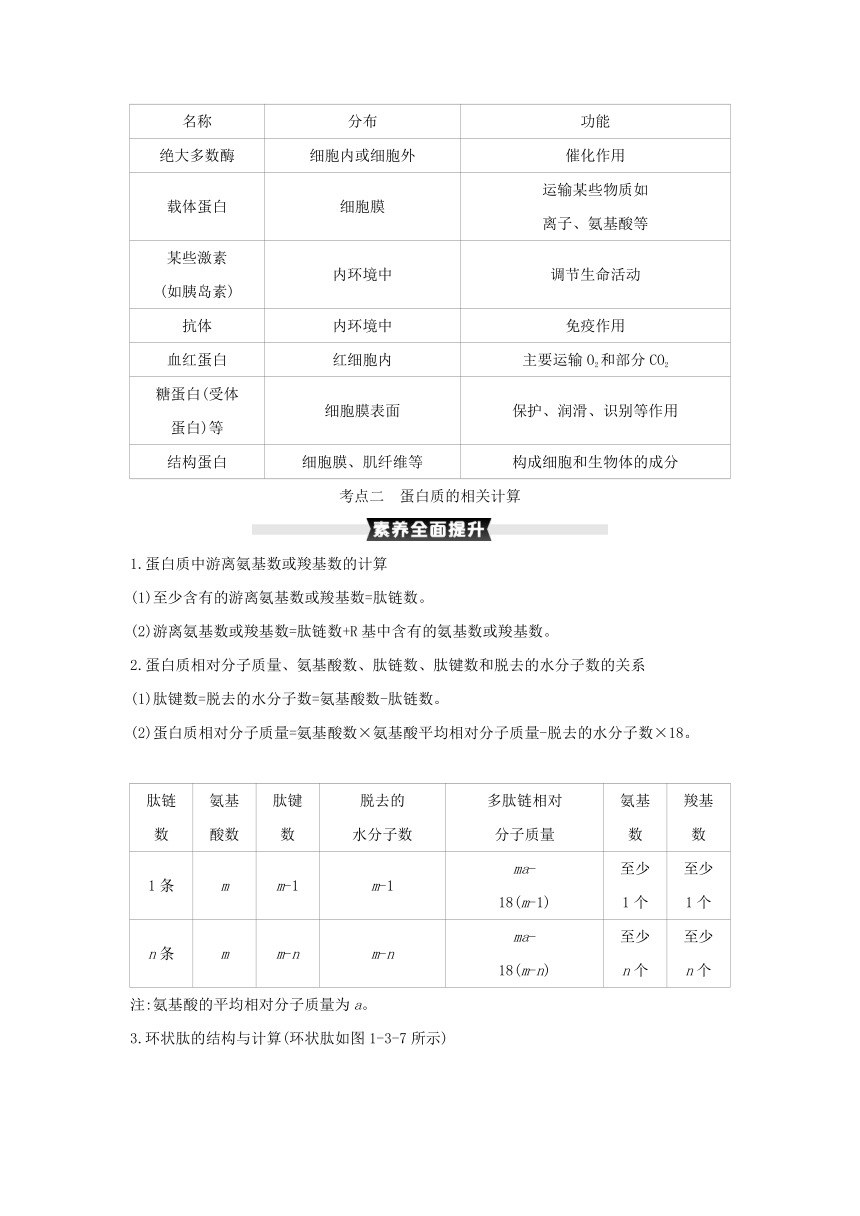 考点梳理&同步真题：第3讲   生命活动的主要承担者——蛋白质（含答案详解）