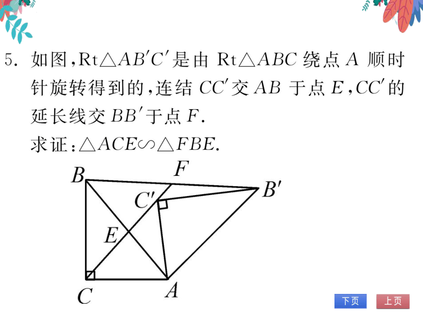 【华师大版】数学九年级上册 第23章 图形的相似 整合与提高 习题课件