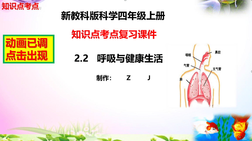 教科版科学四年级上册2.2呼吸与健康生活-知识点+实验+典型试题 课件（15张PPT）