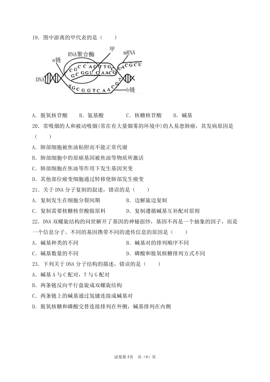 黑龙江省齐齐哈尔三立高中2020-2021学年高一下学期6月月考生物试题    含答案