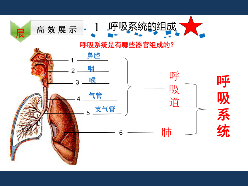 3.2.1人体与外界的气体交换（第一课时）课时(共26张PPT)2022-2023学年济南版生物七年级下册