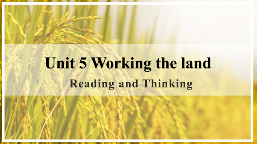 人教版（2019）选择性必修 第一册Unit 5 Working the LandUnit 5 Reading and thinking 课件（27张）