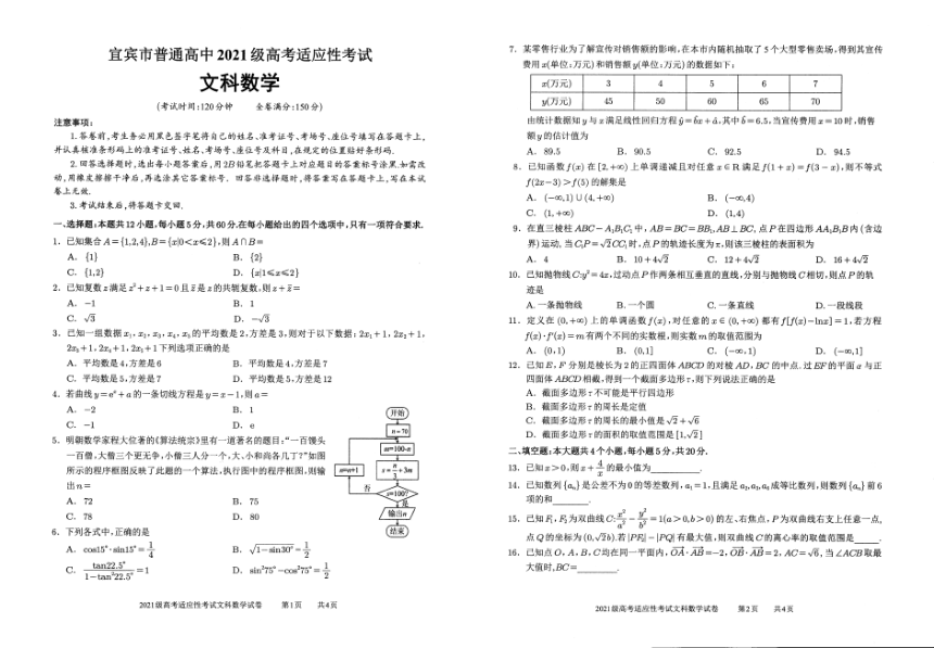 四川省宜宾市2024届高三下学期高考适应性考试（三模）文科数学试卷（PDF版无答案）