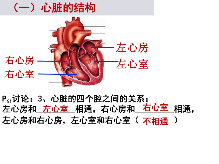 2020-2021学年人教版七年级生物下册4.4.3 输送血液的泵—心脏  课件（39张PPT）