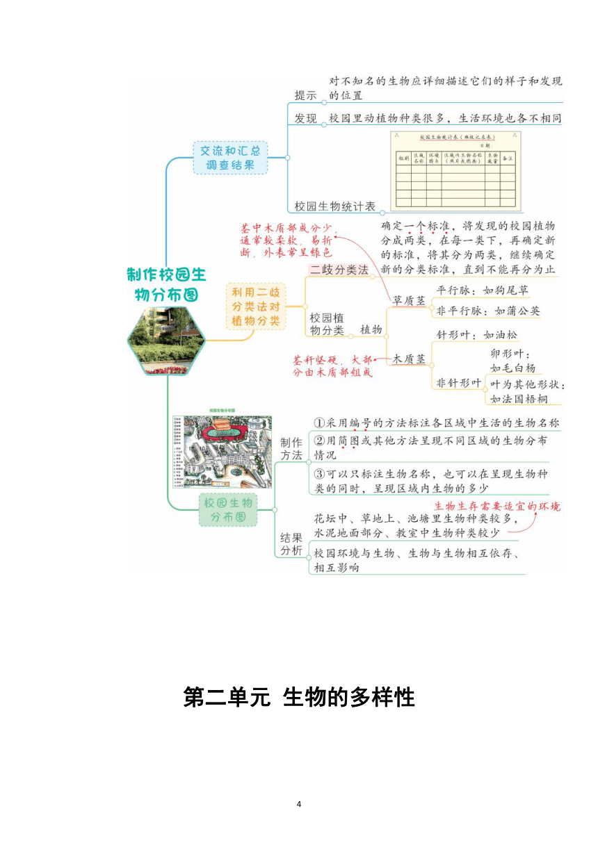 教科版（2017秋）六年级下册科学第二单元《生物的多样性》思维导图（共7课）（素材）