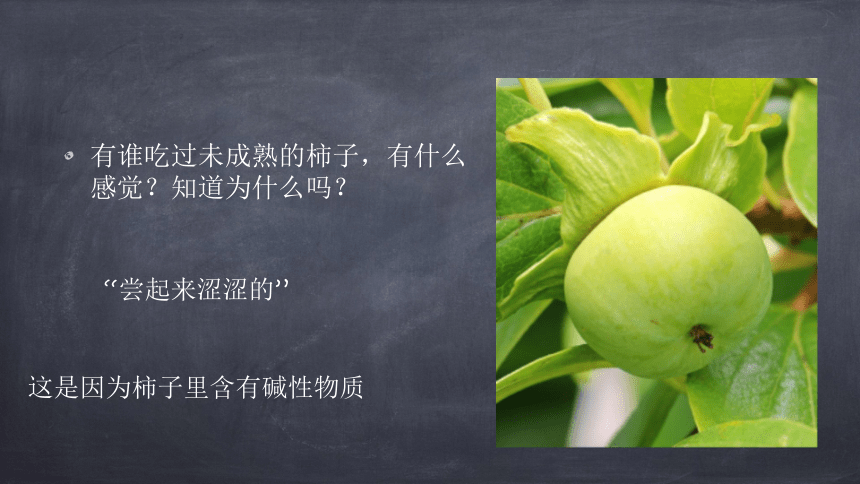 第十单元课题1 常见的酸和碱（24张PPT） —— 2020-2021学年九年级化学人教版下册