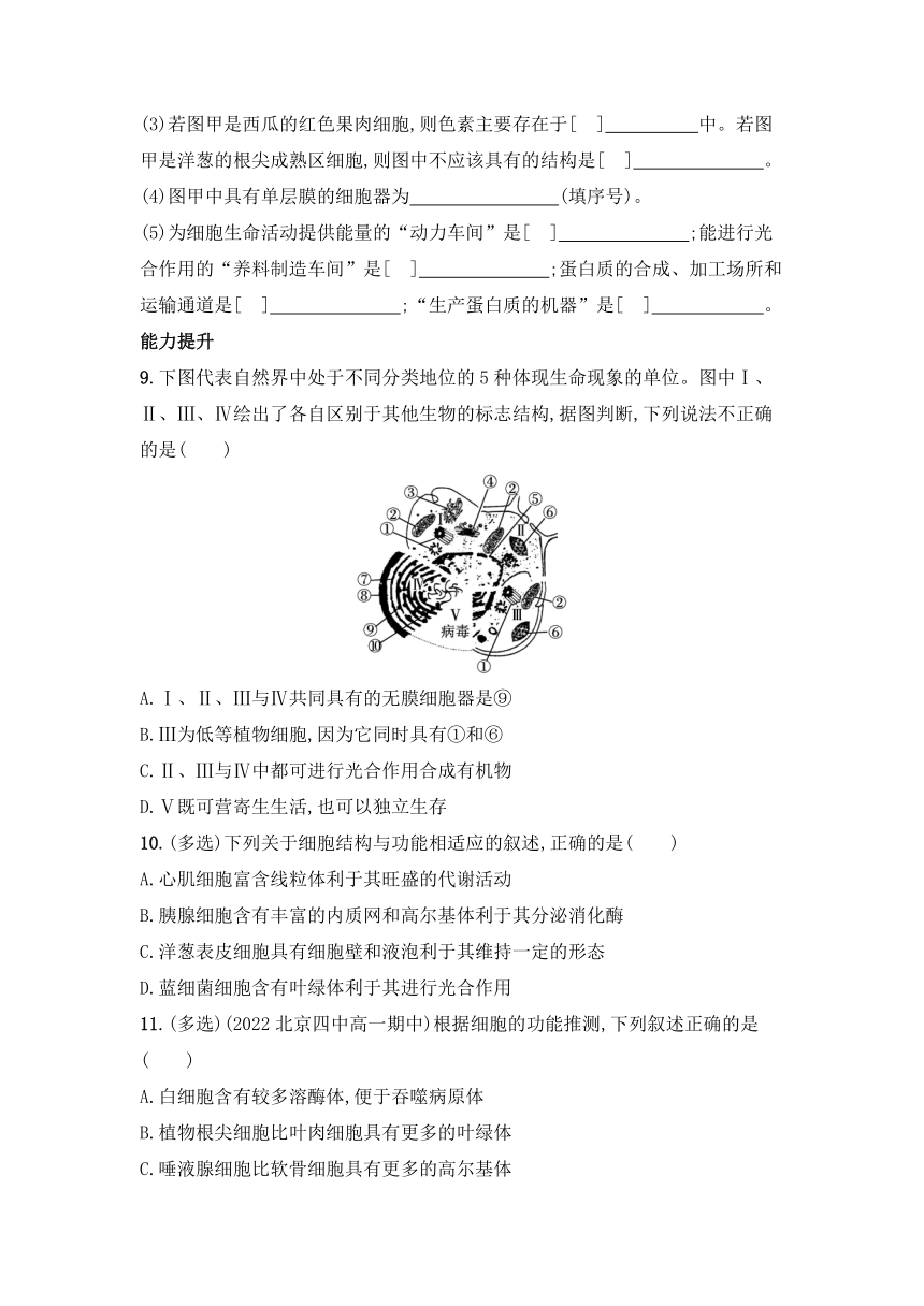 2021-2022学年高一上学期生物人教版必修1--3.2.1 细胞器之间的分工同步练习（word版含答案带解析）