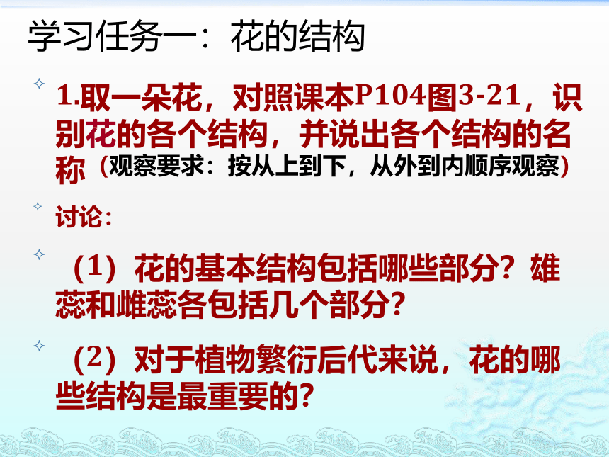 3.2.3  开花和结果  课件(共20张PPT)2022-2023学年人教版生物七年级上册