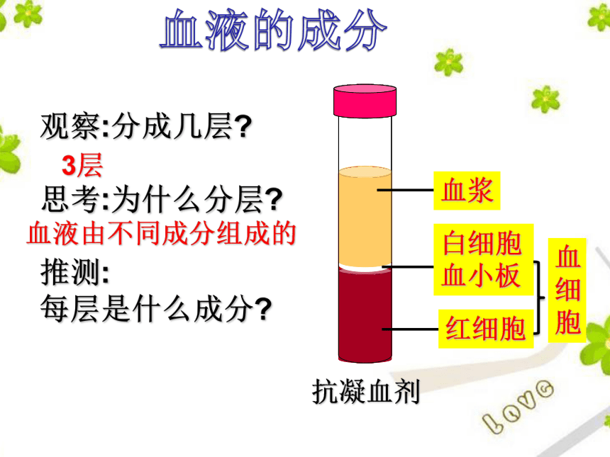 2020—2021学年人教版生物七年级下册4.4.1 流动的组织——血液  课件（20张PPT）