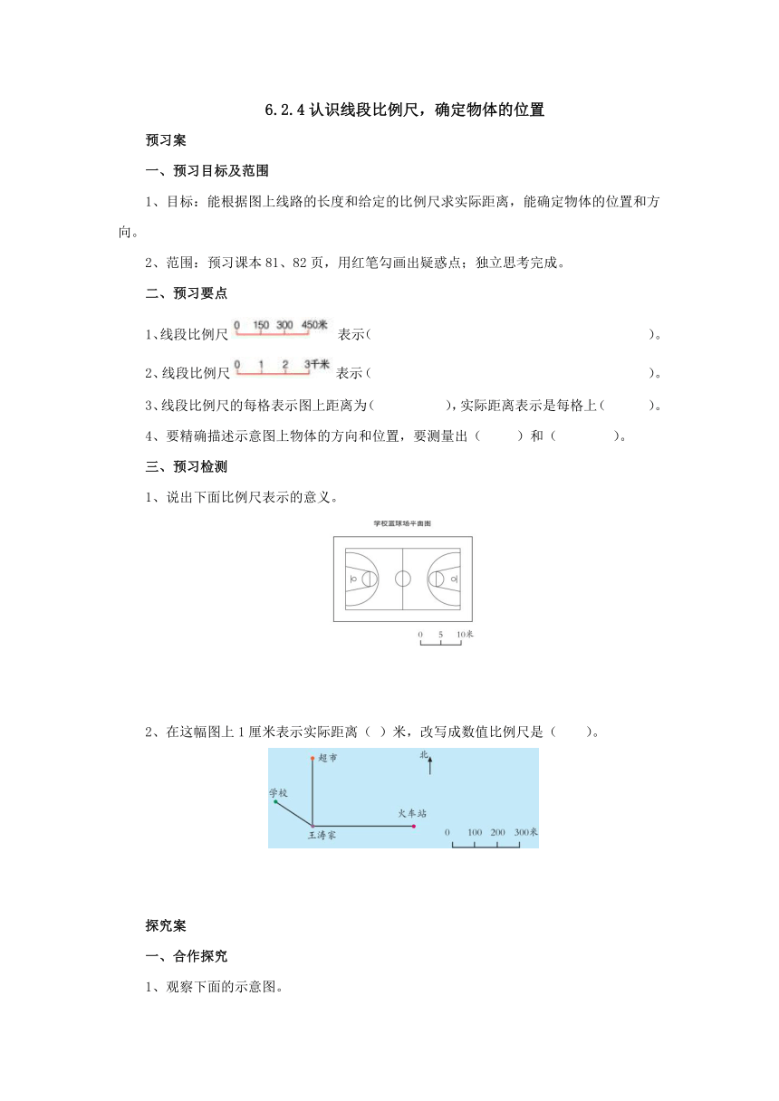 6.2.4认识线段比例尺，确定物体的位置预习案1-2022-2023学年六年级数学上册-冀教版（含答案）