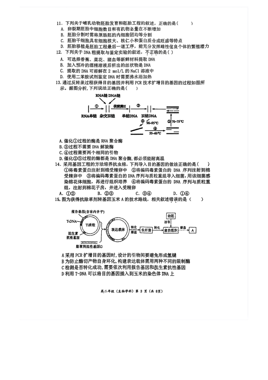 北京市中关村中学2023-2024学年高二下学期期中考试生物试题（扫描版有答案）