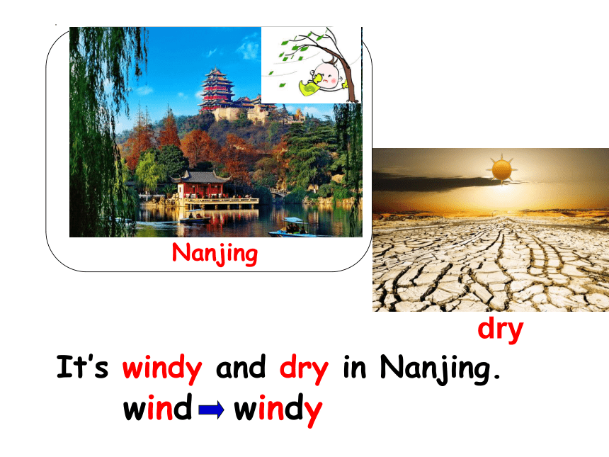 Module 6 Unit 11 What’s the weather like today?课件（共31张ppt）