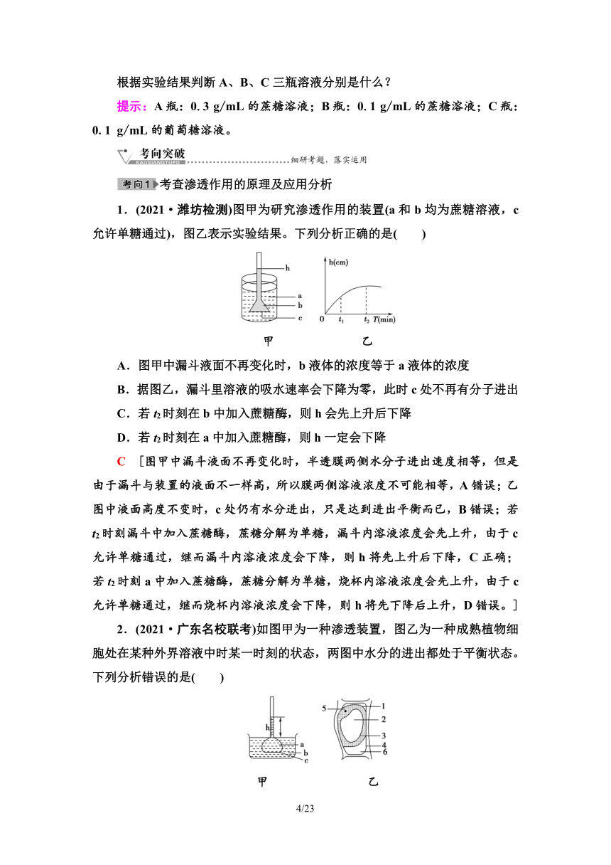 【备考2024】生物高考一轮复习学案：第6讲 细胞的物质输入与输出(含答案）