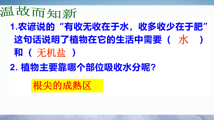 3.3 绿色植物与生物圈的水循环-2022-2023学年上学期七年级生物名师精讲课件（人教版七上）(共35张PPT)+视频素材