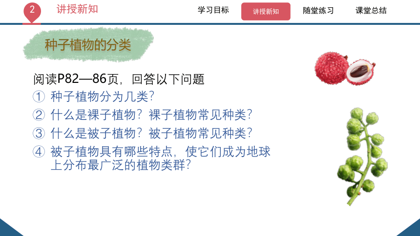 3.1.2  种子植物（课时2 裸子植物和被子植物）课件-2023-2024学年人教版生物七年级上册(共22张PPT)