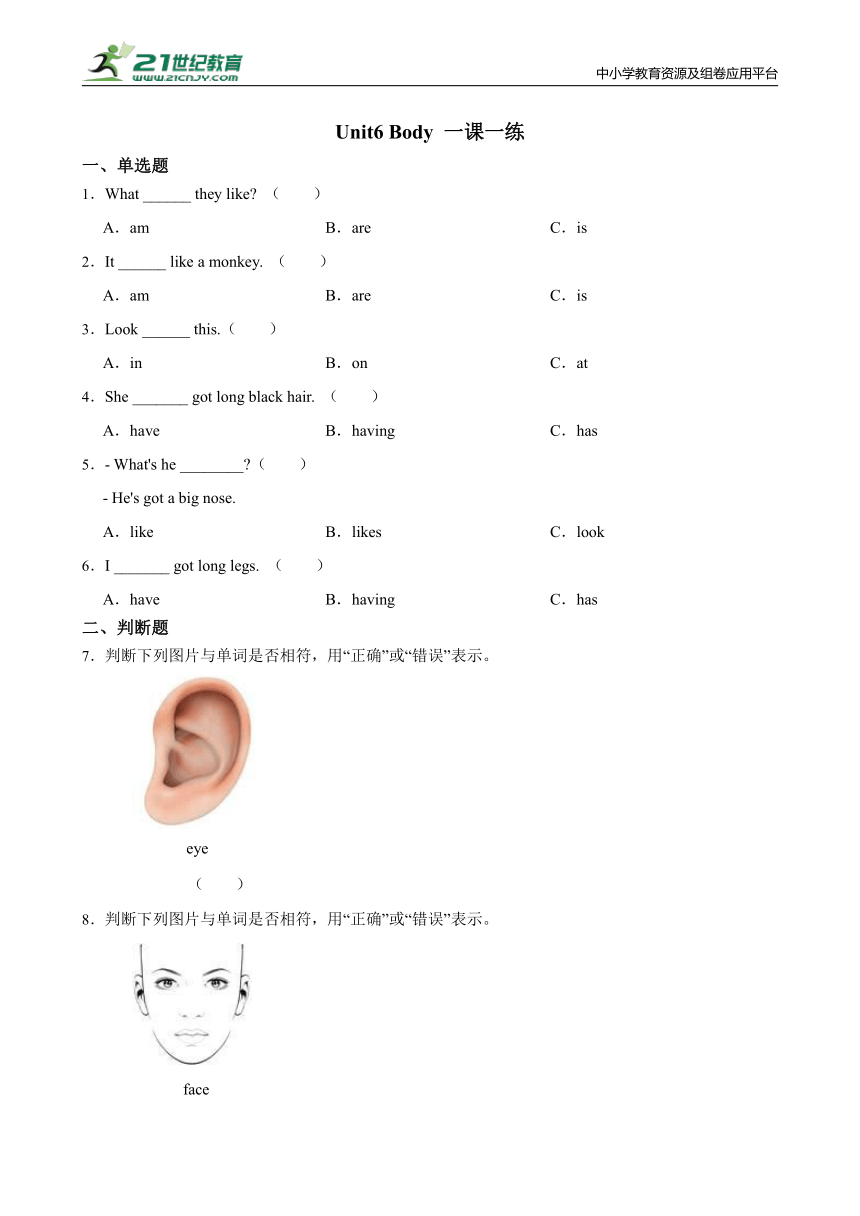 Unit6 Body 一课一练（含答案）