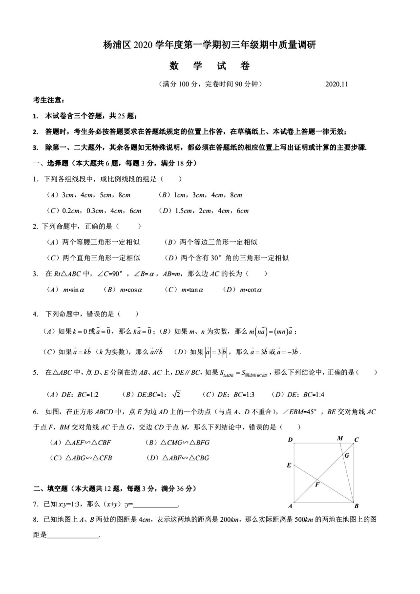 2020-2021学年上海市杨浦区九年级（上）数学期中考试试卷（PDF版 无答案）