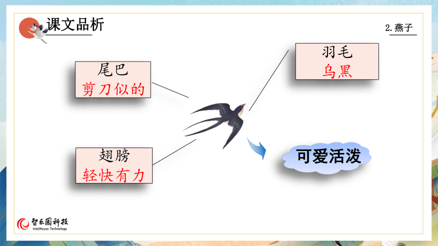 02燕子（第2课时）（智乐园课件）