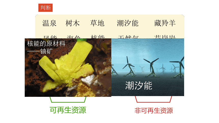 3.1 自然资源的基本特征课件2021-2022学年人教版地理八年级上册（18张PPT）