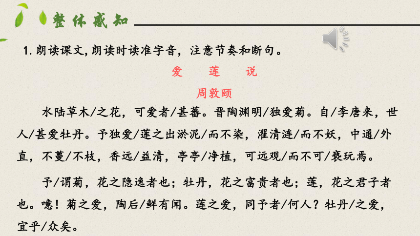 17短文两篇爱莲说 课件